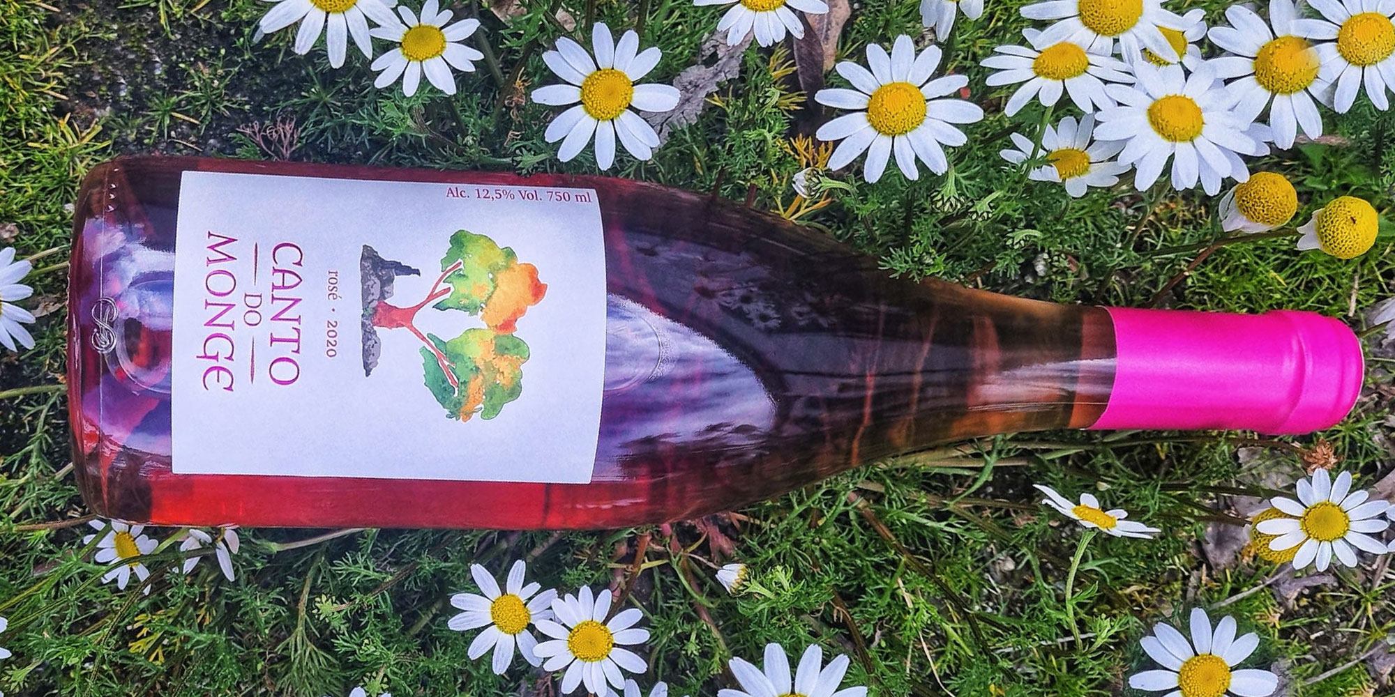 canto-do-monge-rose
